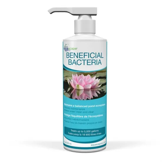 Photo of Aquascape Beneficial Bacteria for Ponds (Liquid)