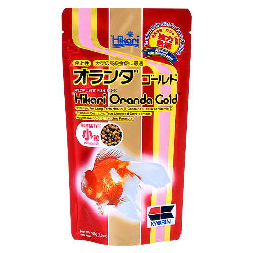 Hikari Oranda Gold