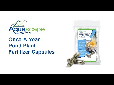 Aquascape Once-A-Year Pond Plant Fertilizer