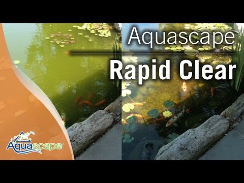 Aquascape Rapid Cleart - Clearance