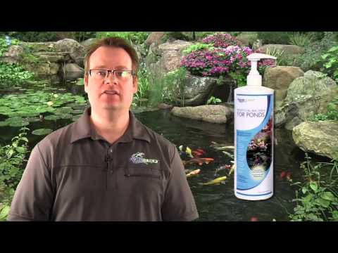 Aquascape Beneficial Bacteria