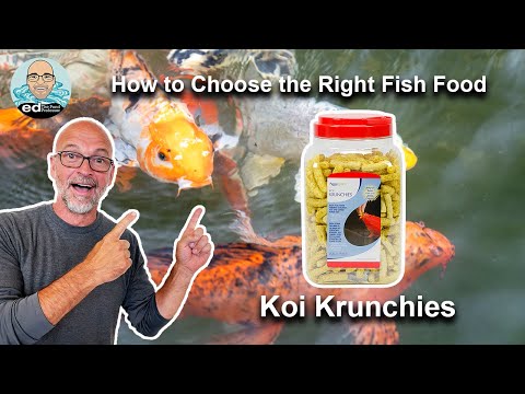 Aquascape Koi Krunchies