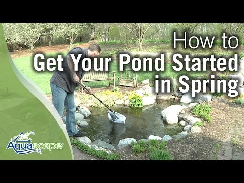 Aquascape Pond Starter Bacteria