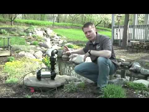 Aquascape Beneficial Bacteria