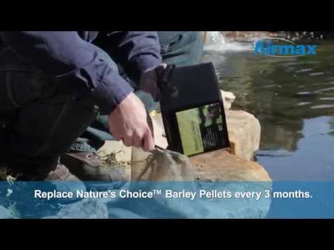 CrystalClear Nature's Choice Barley Straw Pellets