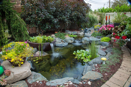 Backyard Corner Pond