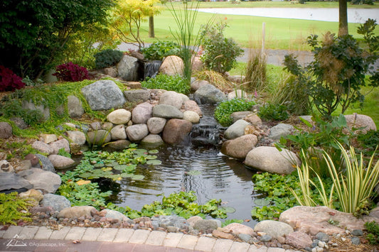 Small 8' x 11' Backyard Pond