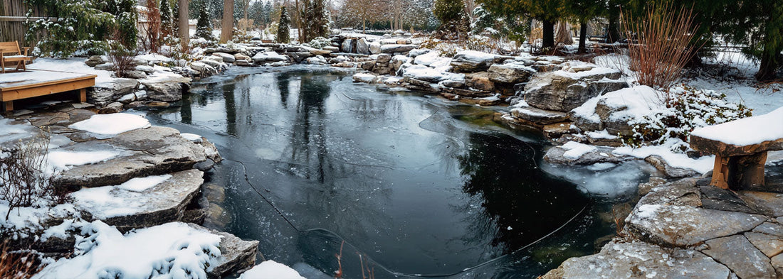 How to Winterize a Pond: Step-by-Step Guide