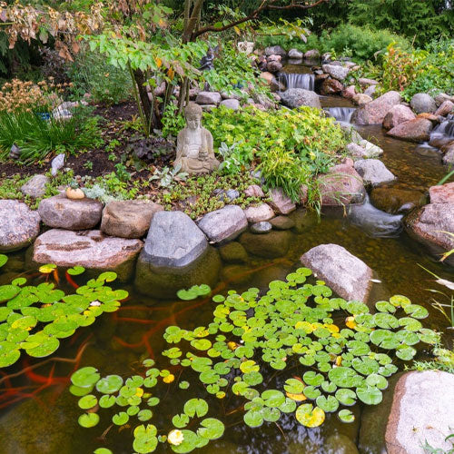 New Pond-tastic