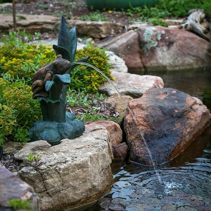 Photo of Aquascape Frog on Reed Spitter