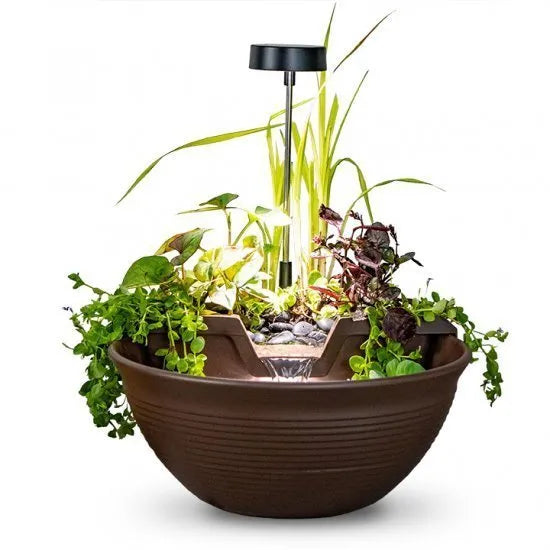 Photo of Aquascape AquaGarden Tabletop Fountain Kit