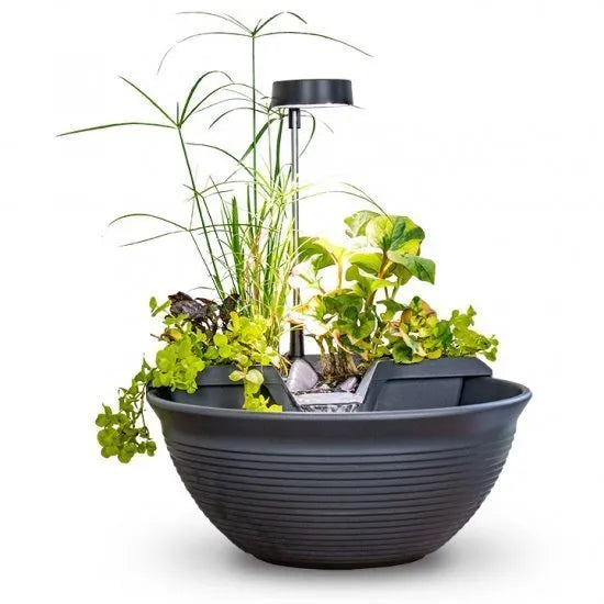 Photo of Aquascape AquaGarden Tabletop Fountain Kit