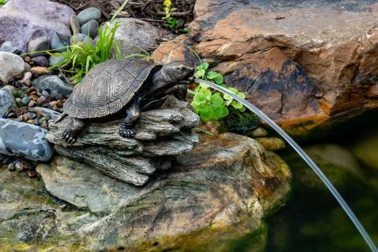 Photo of Aquascape Turtle on Log Spitter