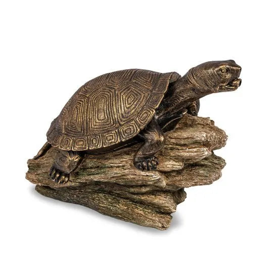 Photo of Aquascape Turtle on Log Spitter