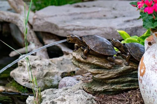 Photo of Aquascape Double Turtle On Log Spitter