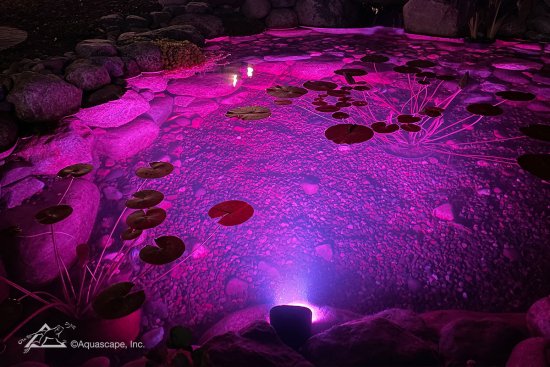 Photo of Aquascape Color-Changing Wide Angle Light