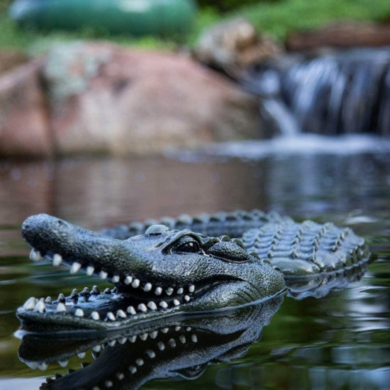 Photo of Aquascape Floating Alligator Decoy