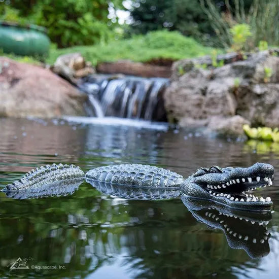 Photo of Aquascape Floating Alligator Decoy