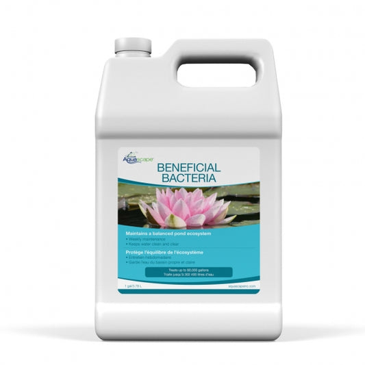 Photo of Aquascape Beneficial Bacteria for Ponds (Liquid)