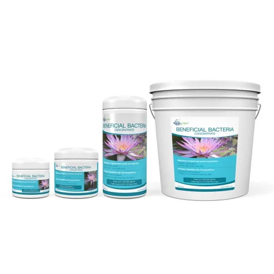 Photo of Aquascape Beneficial Bacteria for Ponds (Dry Concentrate)