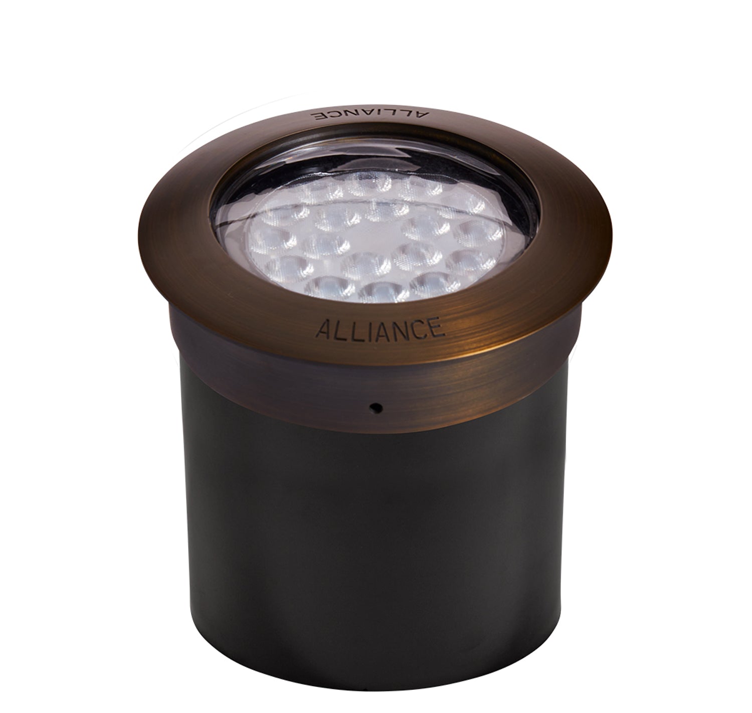 Photo of Alliance WL In-Ground Light