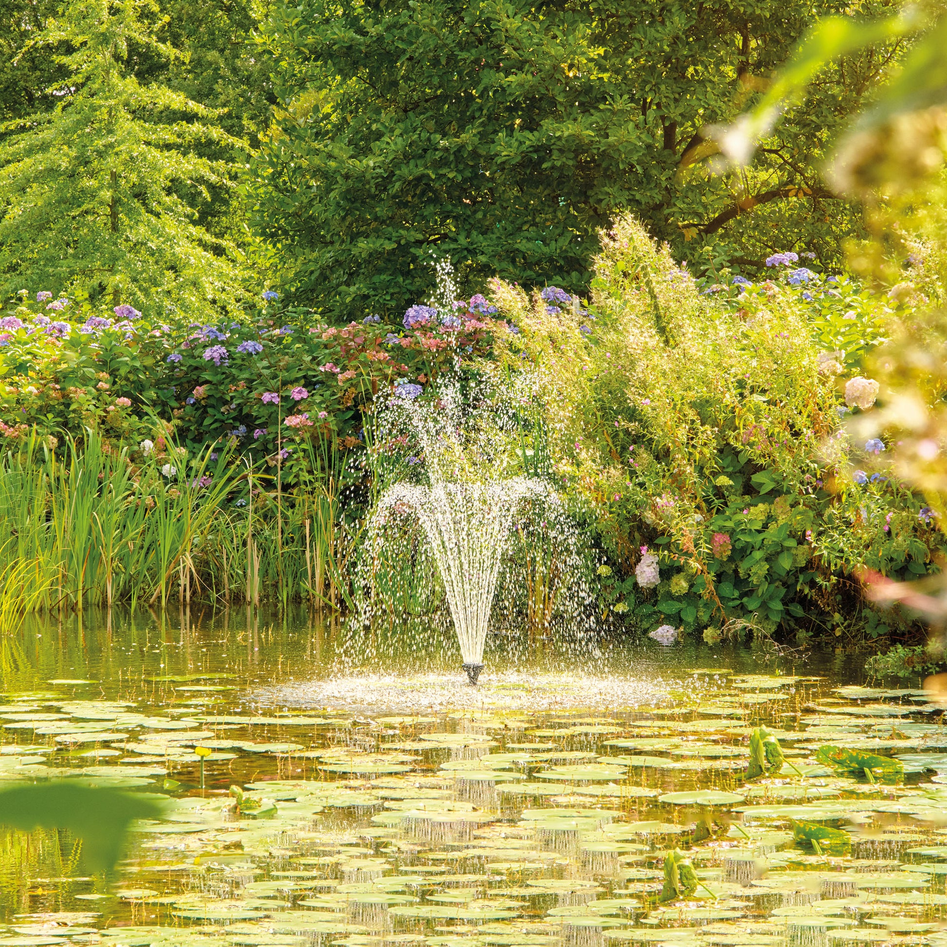 Atlantic-Oase Aquarius Eco Premium