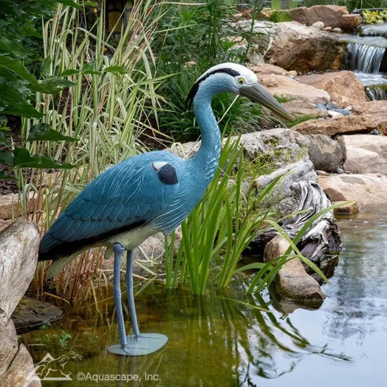 Photo of Aquascape Blue Heron Decoy