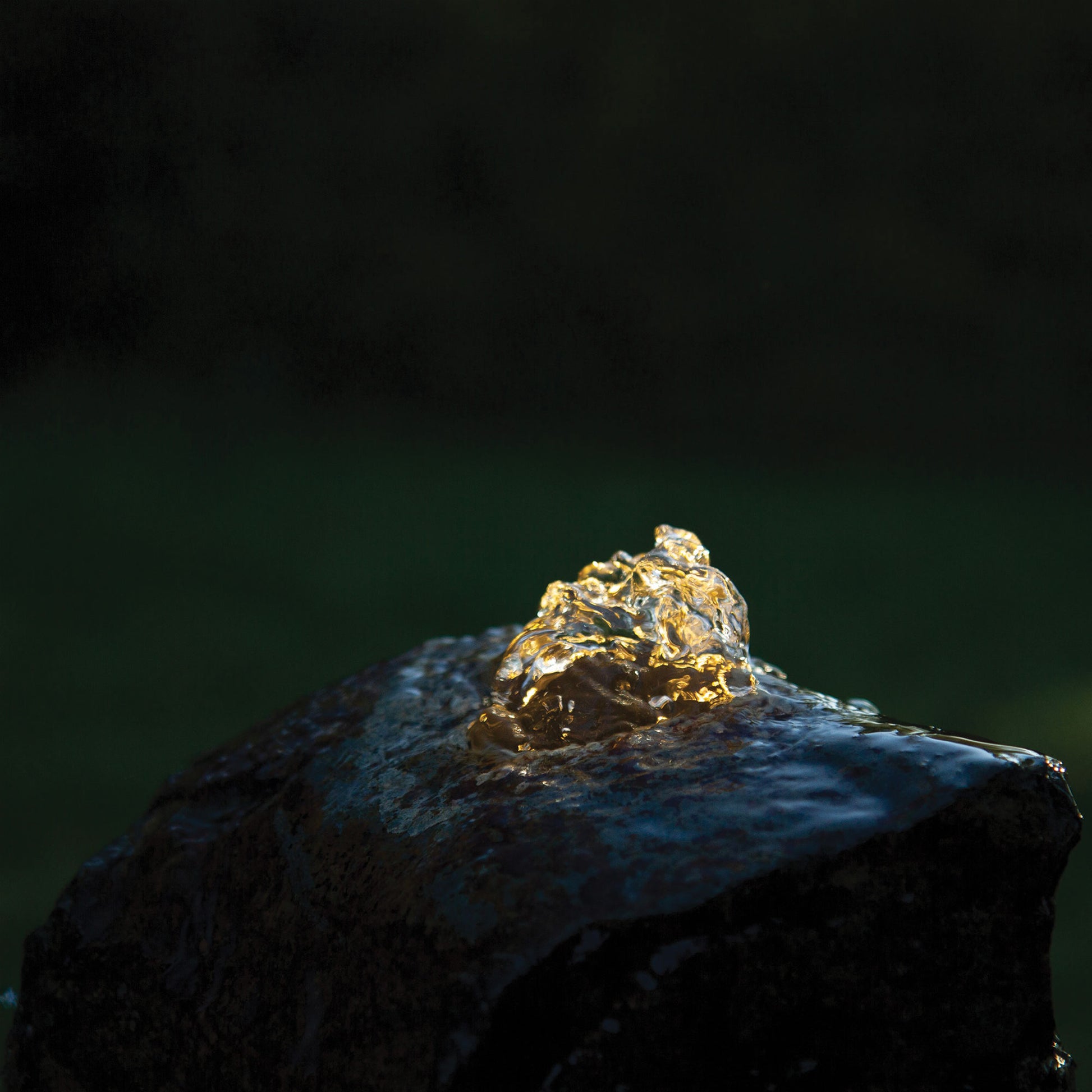 Photo of Atlantic-Oase Fountain Lighting