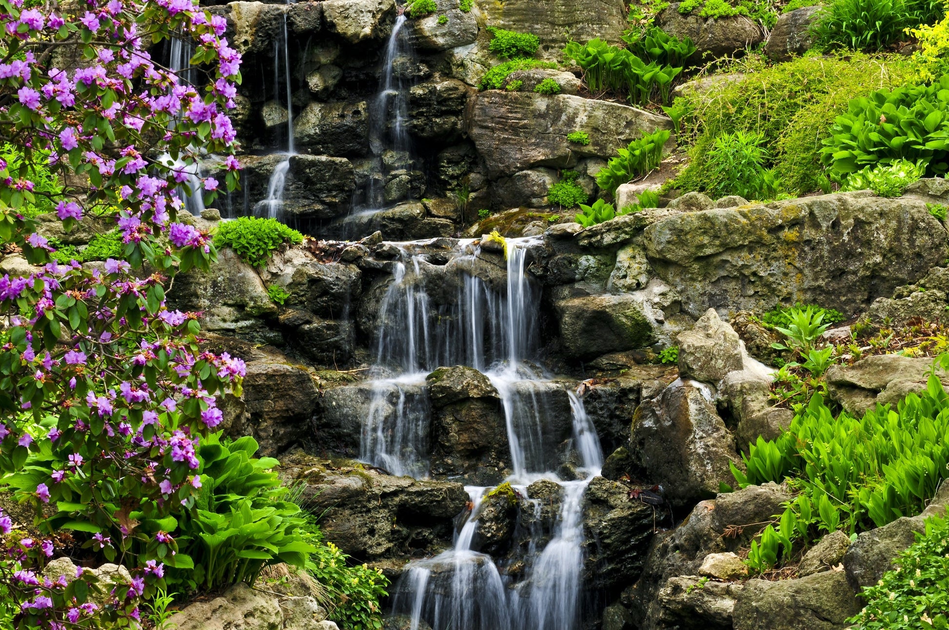 Photo of ProEco SP Fountain & Waterfall Pumps