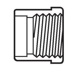 Photo of Reducer Bushing Slip x FPT PVC