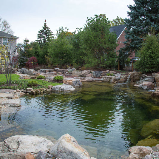 Aquascape Recreational Pond Kit 19′ x 24′