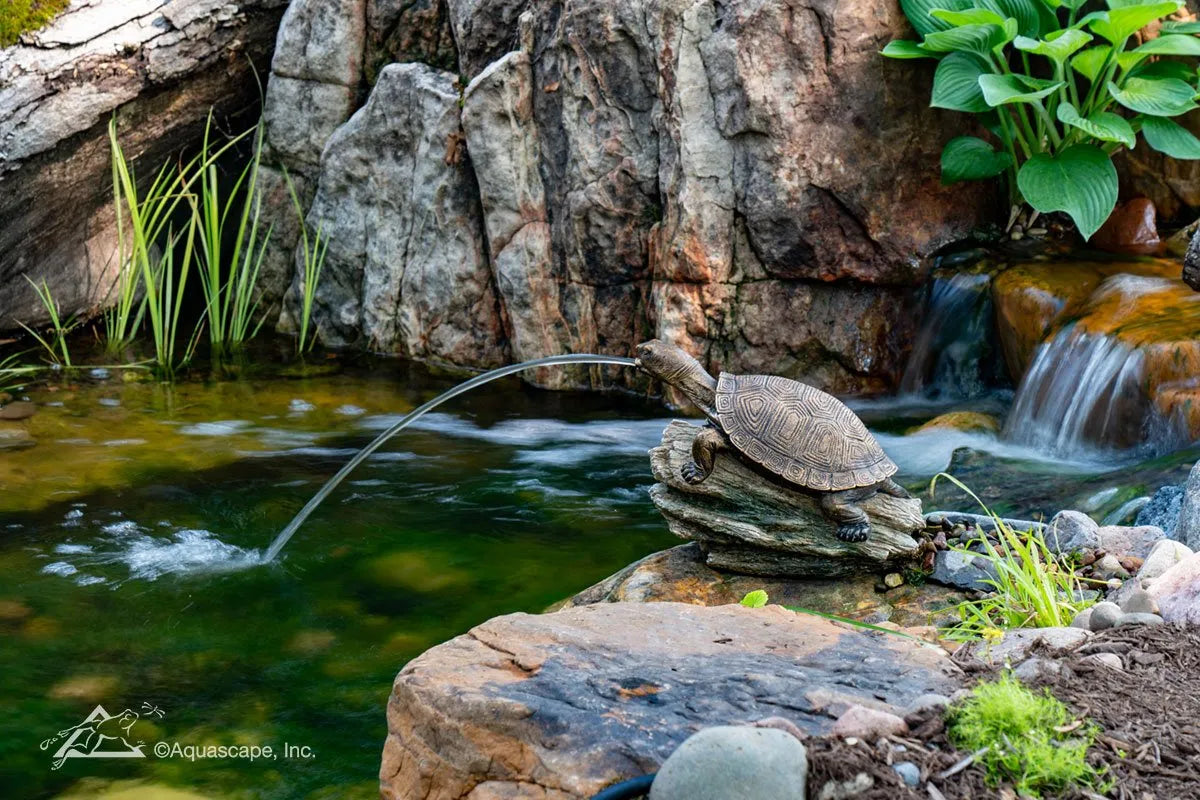 Photo of Aquascape Turtle on Log Spitter