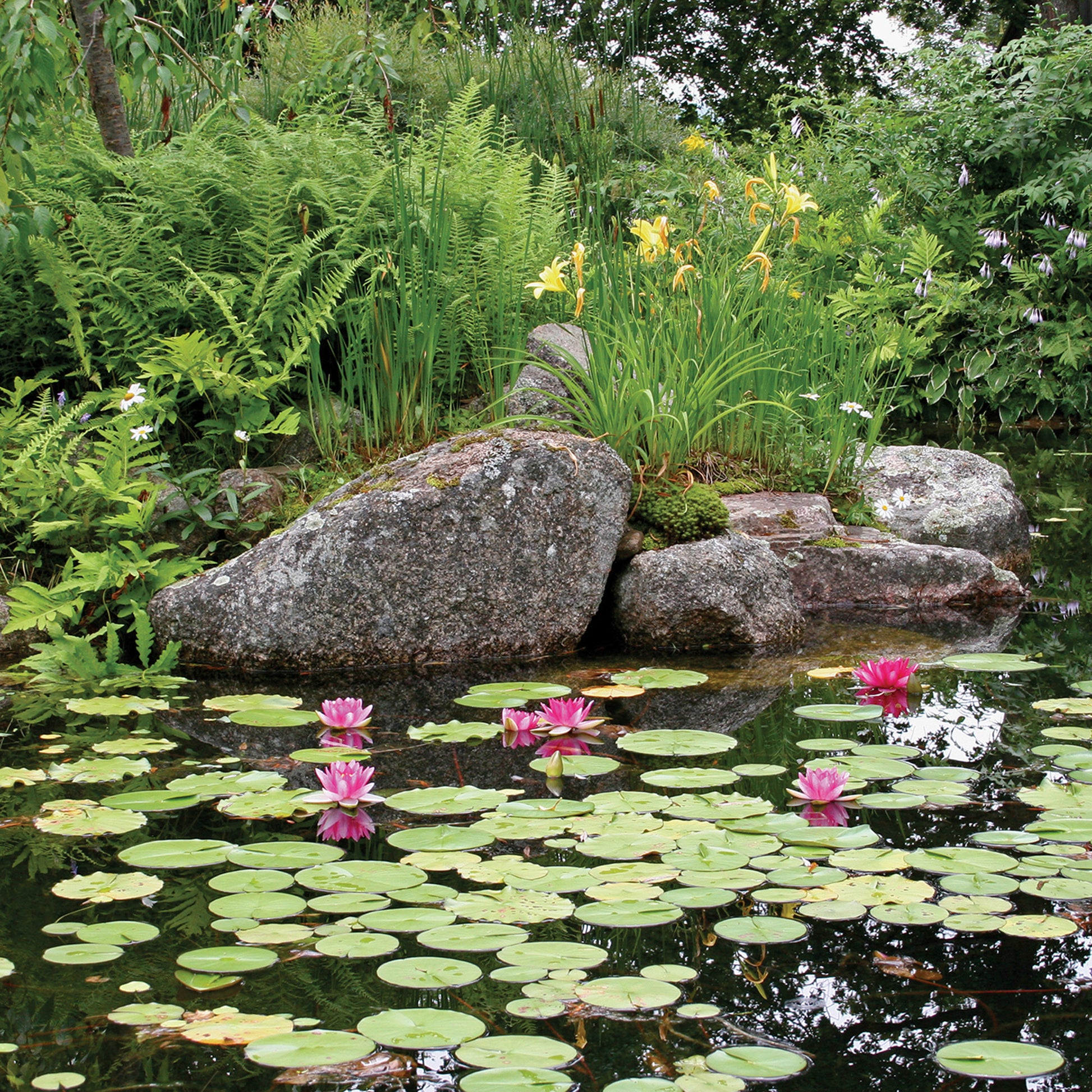 Photo of Atlantic-Oase Pond Kits