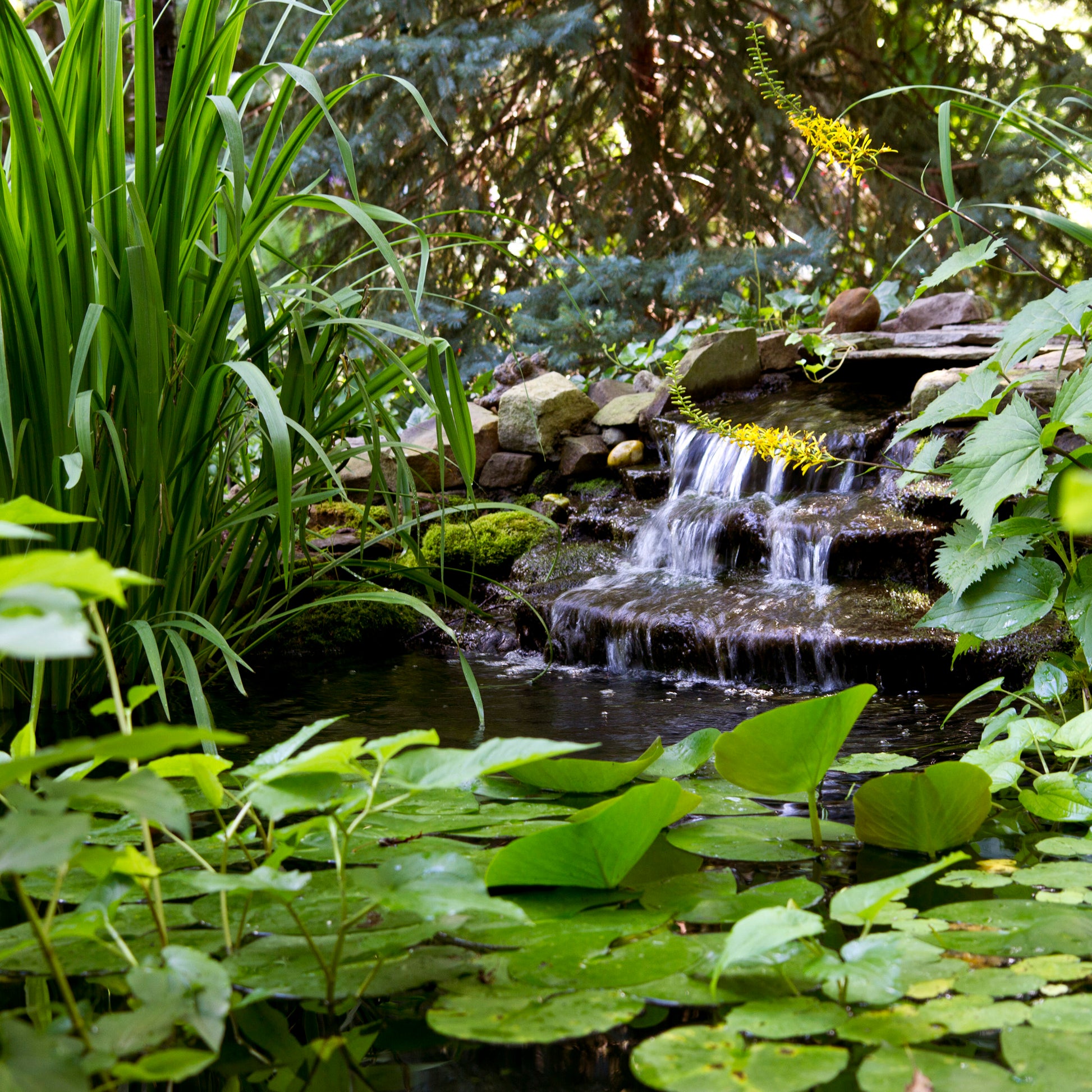 Photo of Atlantic-Oase Clear Water System Complete Pond Kits