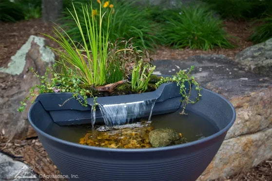 Photo of Aquascape AquaGarden Mini Pond Kit