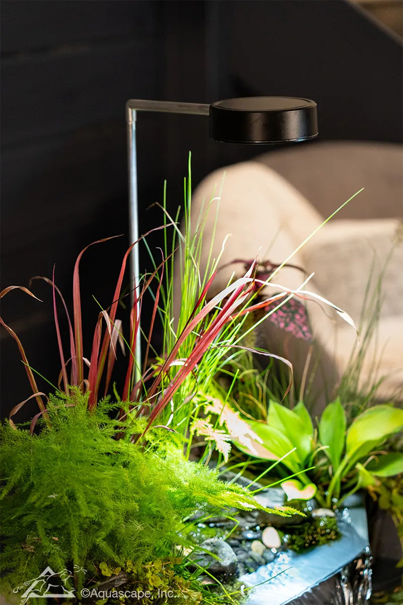 Photo of Aquascape AquaGarden Plant Light