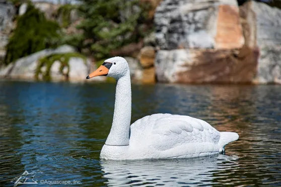 Photo of Aquascape Floating Swan Decoy