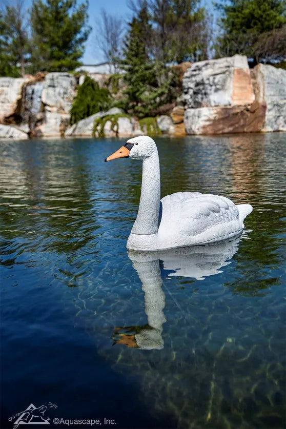 Photo of Aquascape Floating Swan Decoy