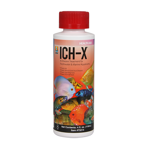Hikari Ich-X