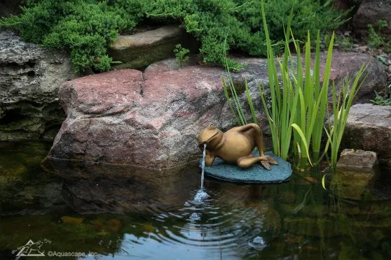 Photo of Aquascape Lazy Frog on Lily Pad Spitter