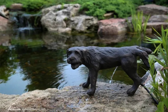 Photo of Aquascape Naughty Dog Spitter