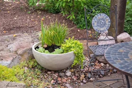 Photo of Aquascape Patio Ponds