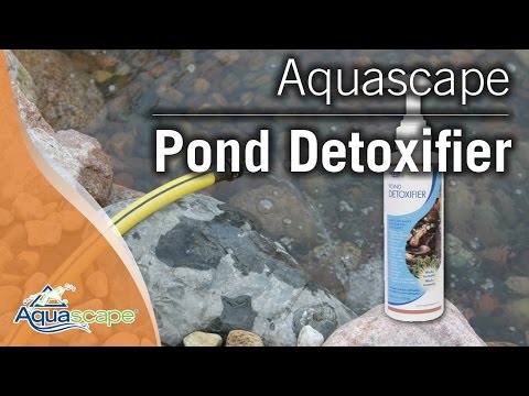 Aquascape Pond Detoxifier