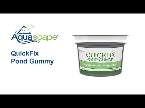 Aquascape Quickfix Pond Gummy