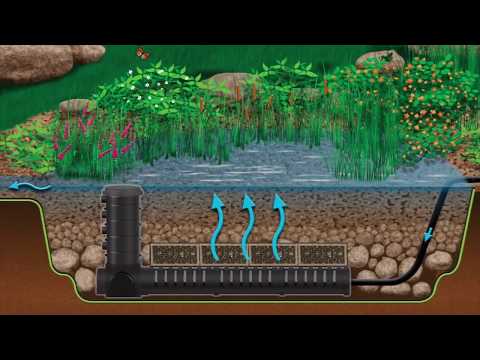 Aquascape Wetland & Bog Filters