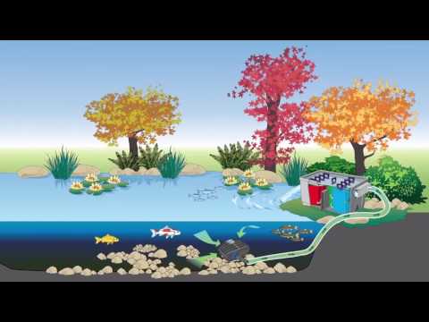 Atlantic-Oase Vitronic UV Clarifiers