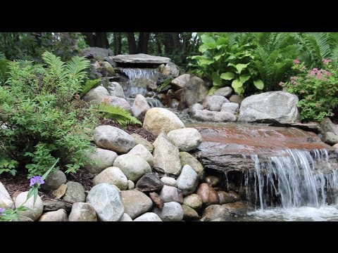 EasyPro Stainless Steel TH Pumps