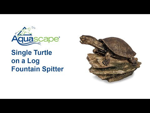 Aquascape Turtle on Log Spitter