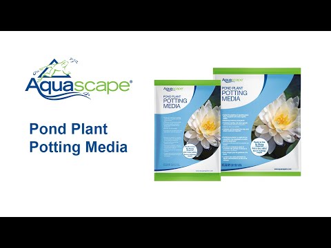 Aquascape Pond Plant Potting Media